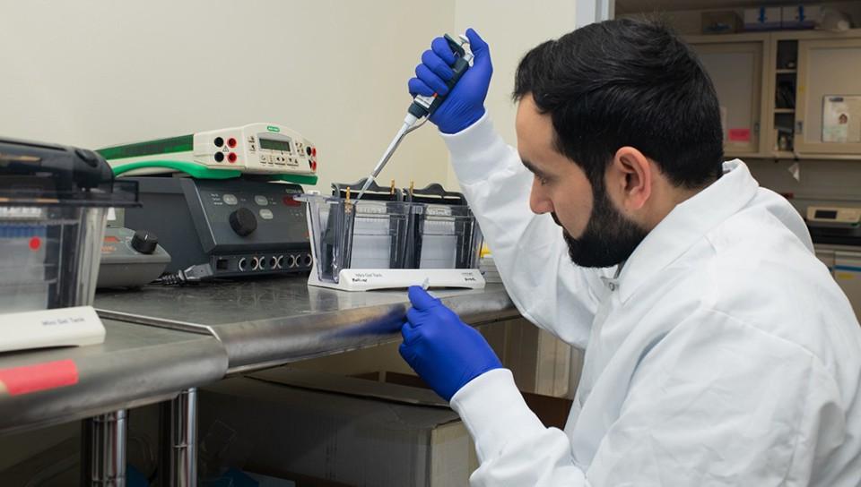 A student using lab tools for research