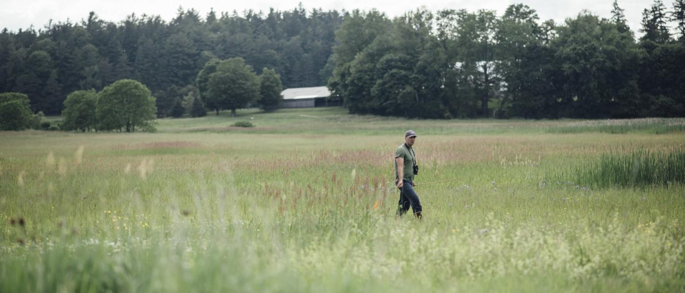 美国东北大学教授诺亚·珀卢特走过佛蒙特州的一片草地