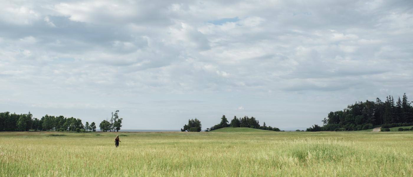 一个人站在佛蒙特州的草原上