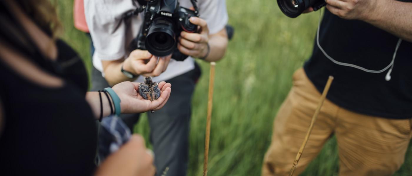 摄影师们聚集在一名手持食米鸟的研究人员周围